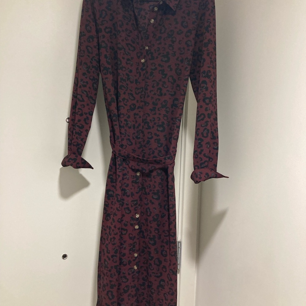 Leopard Print Long Sleeve Dress